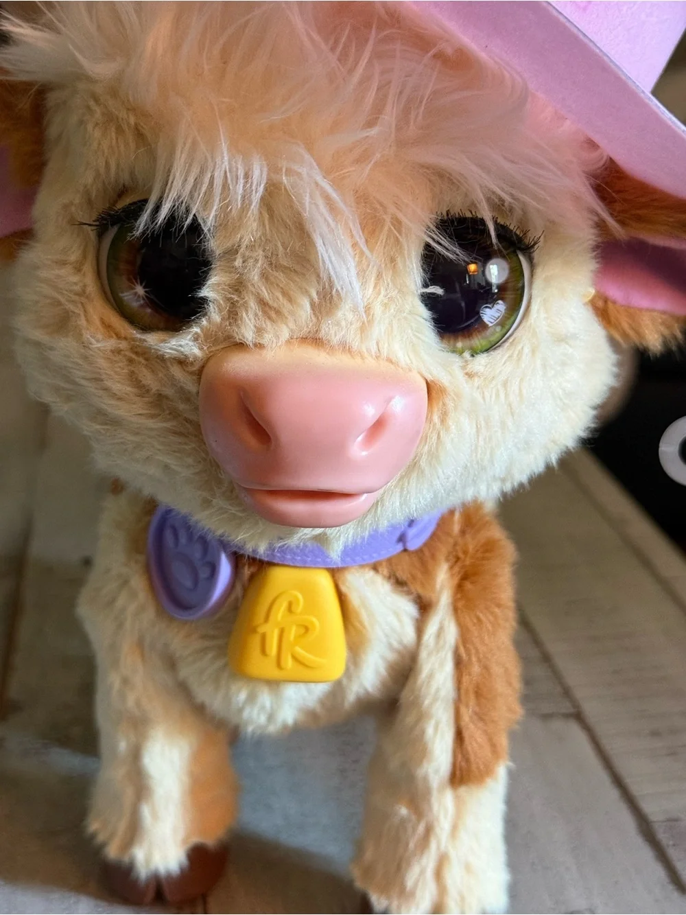 Fur real highlands cow. Pink Cowboy Hat. Walks, sighs & wants milk.